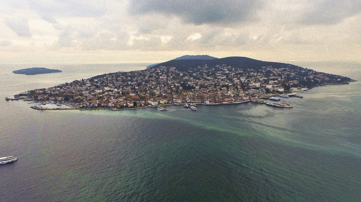Adalar Vinç Kiralama Firmaları